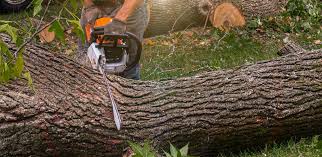 Best Aeration Services  in Delta, UT